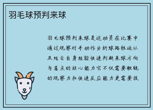 羽毛球预判来球